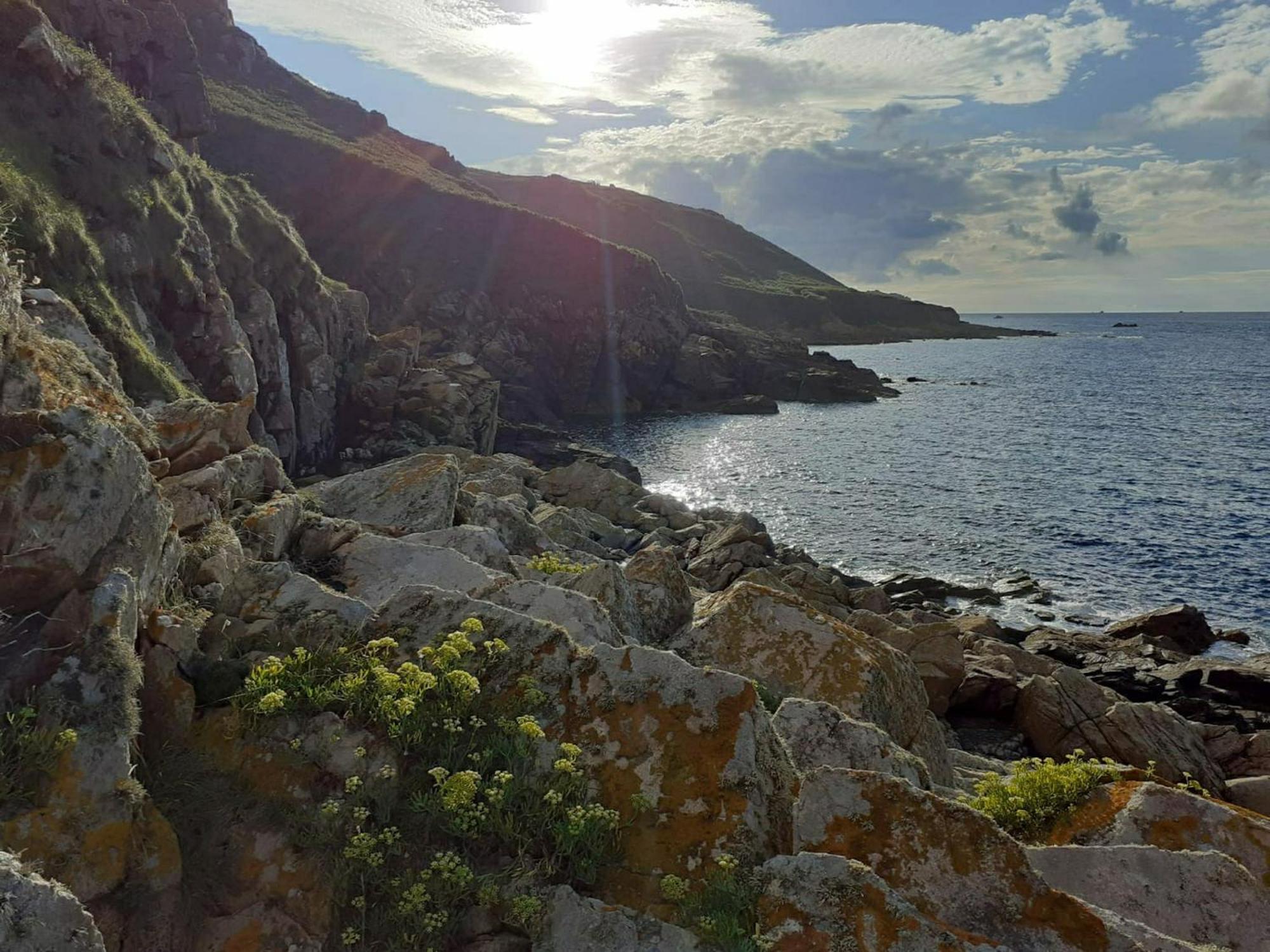 Maison Cosy Vue Mer A Guimaec Buitenkant foto